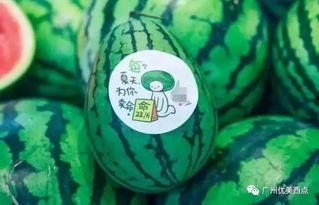 摇光听雪最新吃瓜,揭秘娱乐圈最新吃瓜事件,真相大白!