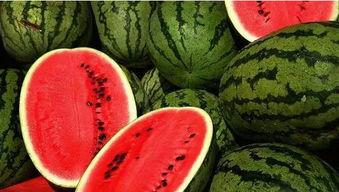 摇光听雪最新吃瓜,揭秘娱乐圈最新吃瓜事件,真相大白!