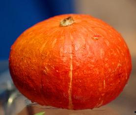 吃瓜七七,网络红人的崛起与影响力