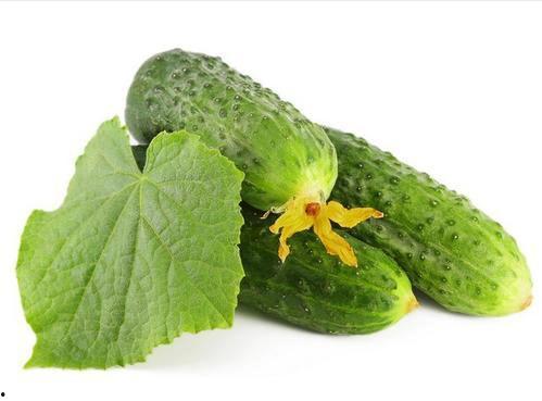 吃绿瓜什么梗,揭秘网络流行语的神奇魅力