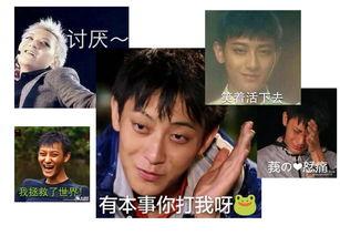 自信吃瓜,畅享人生百态