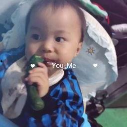 胖墩吃瓜咯噔,揭秘瓜界奇闻轶事