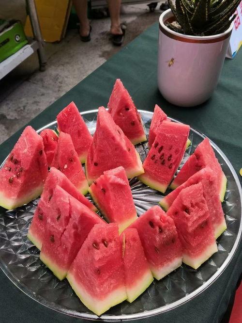 吃瓜比赛名次,吃瓜比赛名次揭晓,谁是瓜王争霸赛桂冠得主?