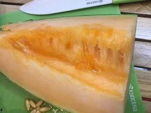 柳州吃瓜投稿,揭秘当地特色美食背后的故事