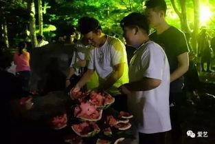 近期兄妹吃瓜事件,揭秘近期家庭风波背后的真相